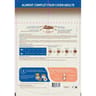 Physyo croquettes chien adulte - maintenance au poulet 2kg