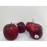 Pomme bicolore story bio