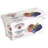 Vipiteno Yaourts entiers fruits des bois 2x125g
