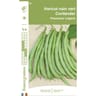 Francegraines haricot contender nain mangetout