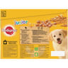 Pedigree sachets fraicheur junior en gelée 12x100g