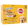 Pedigree sachets fraicheur junior en gelée 12x100g
