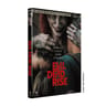 Dvd - evil dead rise