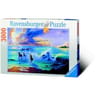 Puzzle 3000 pieces