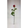 1 rose 60 cm bouton 5 cm coloris assortis