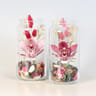Cymbidium verre 1 fleuron