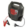 Carpoint chargeur de batterie 12 amp 6v 12v automatique
