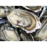 Huitre cancale n°3 bourriche 6 pieces