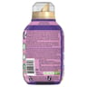 Lenor liquide adoucissant éclat de minuit 36 doses 0.504l