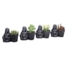 Succulentes en pot céramique déco Buddha