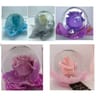 Flower Globes - Boule de verre avec fleur de rose - mix Isabelle