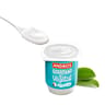 Andros gourmand & végétal brassé nature 8x100g