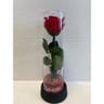 Rose stabilisée dans tube hauteur 22 cm diamètre 6 cm