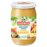 Andros pomme banane sans sucres ajoutés 650g