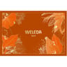 Weleda coffret sport noel 2024 x1  hma 100ml roller 75ml gel douche arnica 200ml