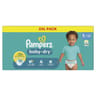Pampers baby dry couches xxl t5 x108