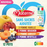 Materne Compotes coupelles multivariétés 12x100g