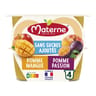 Materne compotes duo pomme, mangue, pomme, passion 4x100g -400g