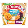 Materne compotes duo pomme, mangue, pomme, passion 4x100g -400g