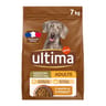 Ultima medium maxi adult poulet 7kg