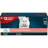 Gourmet perle filettines en sauce 40x85g - 28+12 offerts