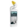 Canard gel nettoyant formule sans acide fort forêt aquatique 750ml