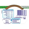 Nestlé naturnes petit pois dès 4/6 mois 2x130g