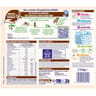 Nestle p tite cereale completes chocolat saveur biscuit 12 mois 415g
