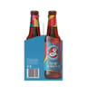 Brooklyn pulp 4X33cl
