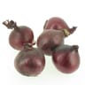 Oignon rouge bio 1kg