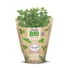 Menthe pot bio