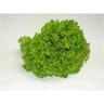 Salade batavia