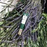 La Provencale bio olive soin yeux jouvence tube 15ml