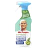 Mr propre spray désinfectant multi-usages fleurs de pommier 500ml