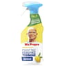 Mr propre spray dégraissant pschittez essuyez terminé citron 500ml