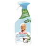 Mr propre spray javel parfume eucalyptus 800ml