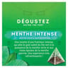 Lipton the vert menthe intense x20S - 32g