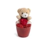 Rose stabilisée dans pot avec ourson