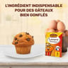 Vahiné levure chimique lot de 5 sachets 55g