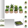 Assortiments plante h13