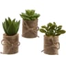 Plante artificielle succulente 5x5x12cm