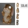 Animal solaire assortiment