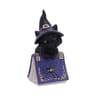 Figurine de collection pocus 12.7cm