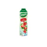 Teisseire fraise 60cl