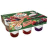 Panier de Yoplait nature sur fruits rouges 6x140g