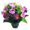 Iris oeillet artificiels rose en pot (jaune-orange)