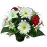 Oeillet gerbera lys artifciels en pot (rouge-crème)