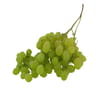 RAISIN BLANC VICTORIA