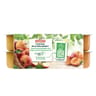 Andros sans sucre ajouté pomme nature pomme abricot 12x100g +4 offerts