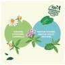 Elephant infusion verveine citronnéé mélisse x20s - 34g